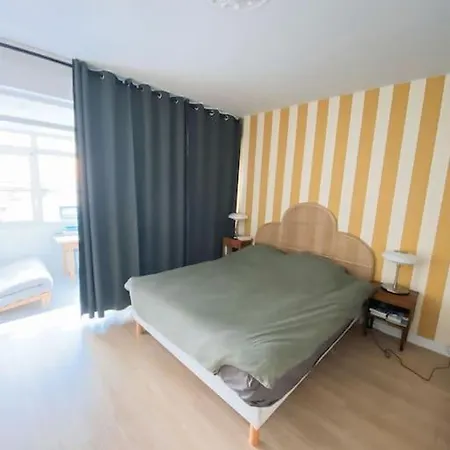 Apartment Spacieux Et Lumineux - 4 - Jardin - Wifi Bordeaux